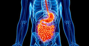 جراحة الجهاز الهضمي